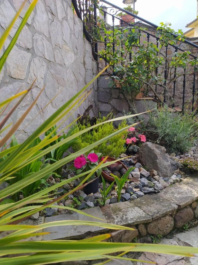 La Granda De La Concha Villa Nueva De Llanes Eksteriør billede
