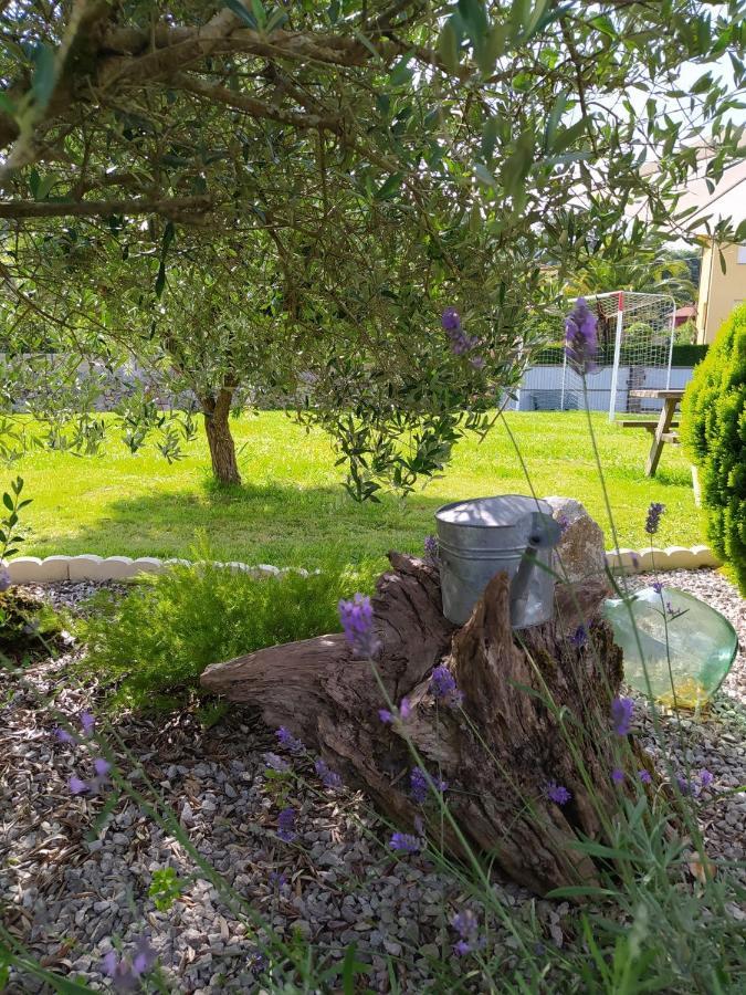 La Granda De La Concha Villa Nueva De Llanes Eksteriør billede